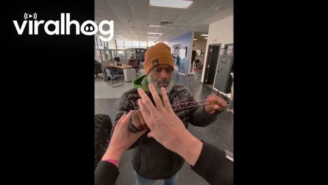 Rubber Band Magic Trick || ViralHog