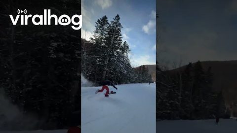 Snowboard Runs Away From Its Person || ViralHog