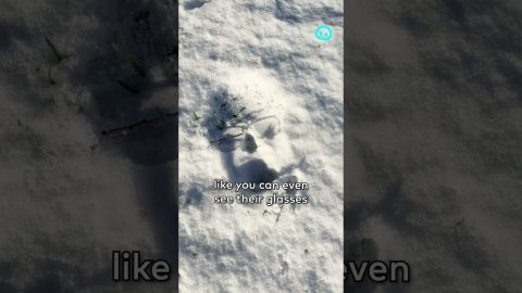 Someone Fell Over In The Snow || ViralHog Shorts