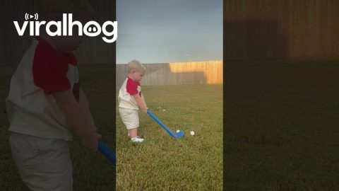 Toddler Practicing His Golf Game || ViralHog