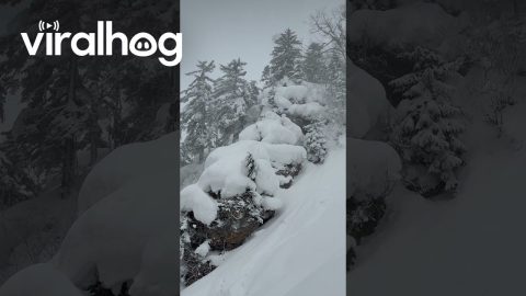 Skier vs Pillow Stack || ViralHog