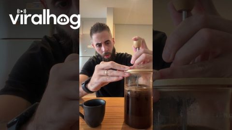 French Press Coffee Bursts Out || ViralHog