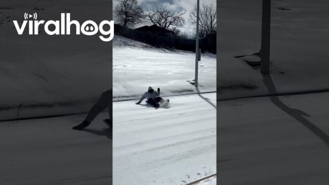 Fast Sledder Hits Both Curbs || ViralHog