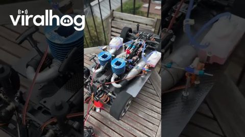 A Super Twin-Engine System on a Remote-Controlled Vehicle || ViralHog