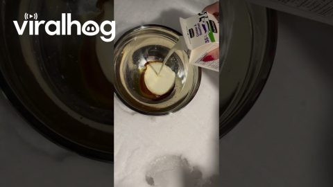 Making Ice Cream in the Snow || ViralHog