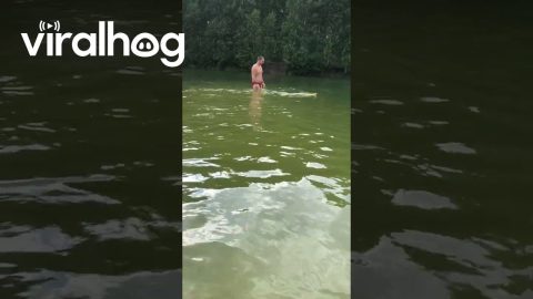 Swimming With My Pet Python || ViralHog