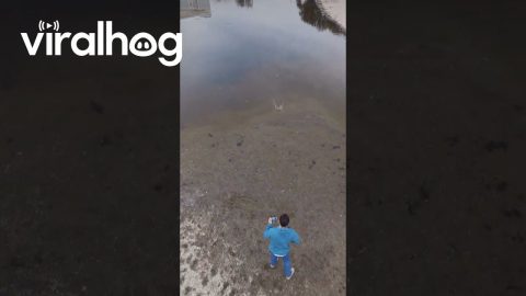 Slow Motion Rock Skipping Filmed With a Drone || ViralHog