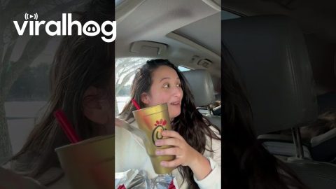 Golden Ticket? Nope Golden Cup Winner! || ViralHog