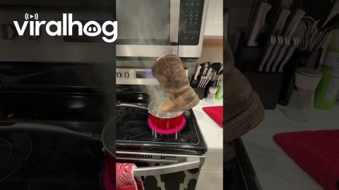 Boot Soup || ViralHog