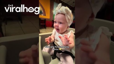 Baby Girl's First Time Trying Lemon || ViralHog