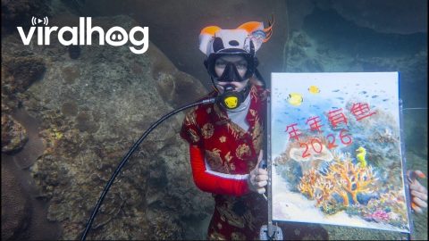 Underwater Painting for Chinese New Year || ViralHog