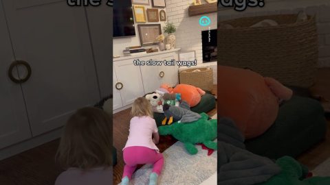 Daughter Buries Dog In Stuffies || ViralHog Shorts