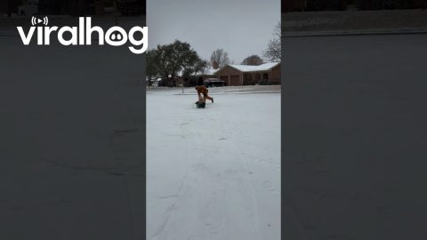 Laundry Basket Makes Perfect Improvised Sled || ViralHog