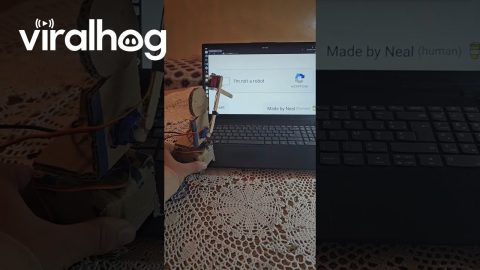 Robot Has Defeated a Human Verification || ViralHog