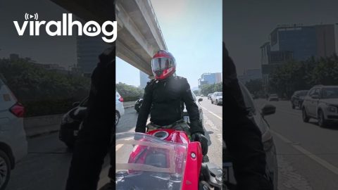 Motorcyclist Doesn't Realize He Got Rear Ended || ViralHog
