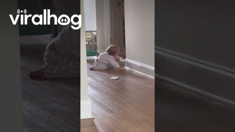 Biting Off the Baby-Proof Corners || ViralHog