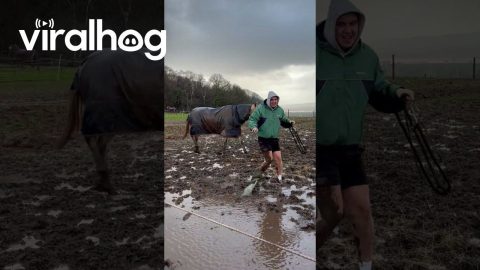 Mucky Boots Cause Muddy Fall While Catching Horse || ViralHog