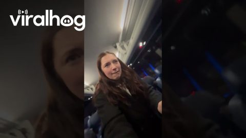 Little Raccoon in the Overhead Bins || ViralHog