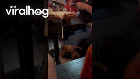 Pizza Cheese Stretches and Spills Into a Clothing Bag || ViralHog