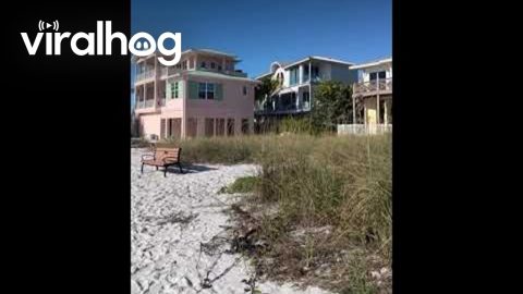 Talk About a Spite House || ViralHog
