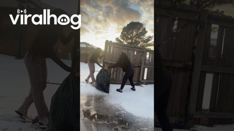 Caught My Kids Slipping and Sliding While Taking Out the Trash || ViralHog