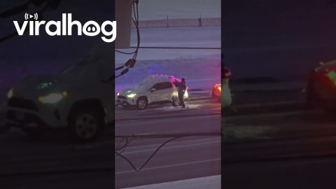Driver Forced To Clean Snow Off Car || ViralHog