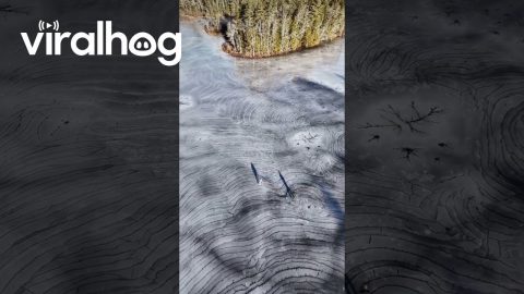 Friends Skating on a Frozen River || ViralHog