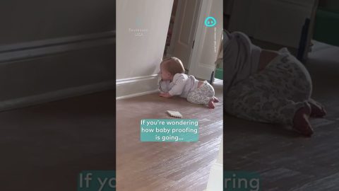 Biting Off the Baby-Proof Corners || ViralHog Shorts