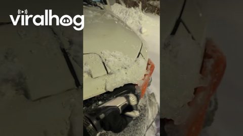 When Having a Prosthetic Comes in Handy || ViralHog