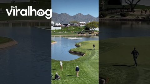 Streaker Jumps Into Water at Waste Management Golf Tournament || ViralHog
