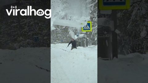 Cleaning the Traffic Lights || ViralHog