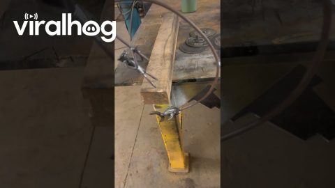 Metal Pendulum Fishing Art || ViralHog