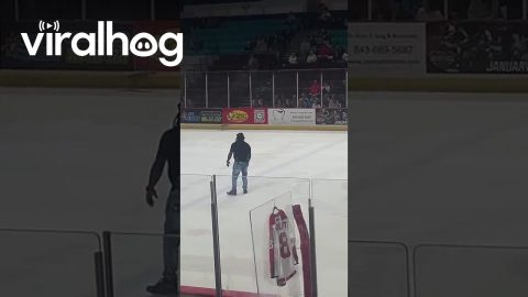 Ice Cat Runs Around Hockey Rink || ViralHog