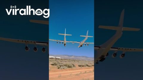 Stratolaunch Roc World's Largest Aircraft || ViralHog