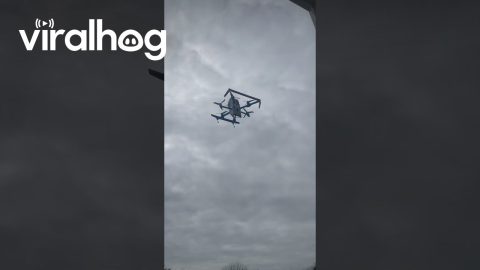 Delivery Drone Drops Package On Sidewalk || ViralHog
