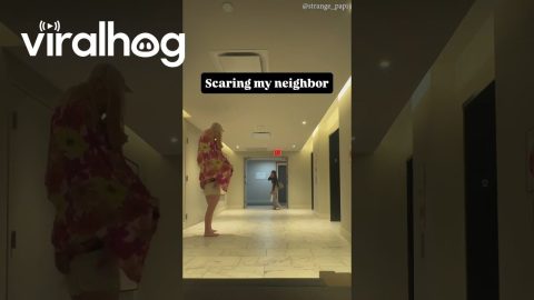 Too-Tall Lady Startles Neighbor Walking By || ViralHog