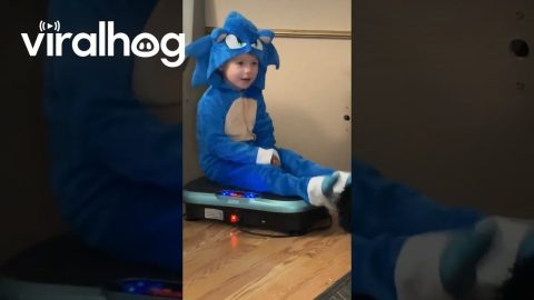 Sonic’s Nervous System Regulation Routine || ViralHog