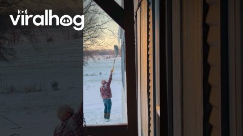 POV: When Your Daughter Is a Softball Catcher || ViralHog