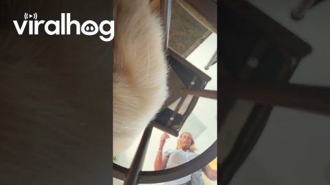 Tito Took My Phone || ViralHog