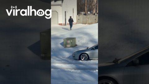 Neighbor Struggles To Walk Pizza Up Icy Driveway || ViralHog