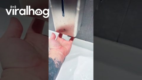 Spiderman Washing Hands || ViralHog