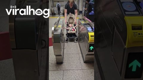 Flexible Legs Block Metro Gate || ViralHog