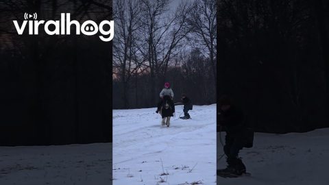 Little Snowboarder Pulled by Pony-Riding Sister || ViralHog