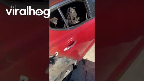 Tough Tote Bag Survives Car Fire || ViralHog