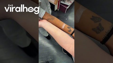 Holy Shade Match || ViralHog