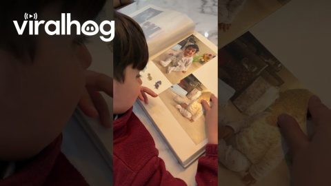 6-Year-Old Tries to Zoom in on Photo Album || ViralHog