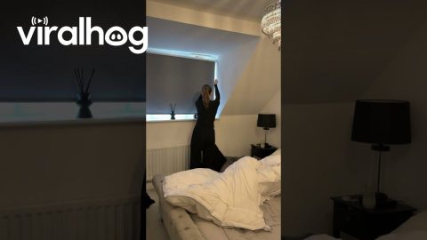 Aesthetic Bedroom Reset Gone Wrong || ViralHog