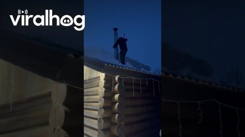 Snow and Man Shoveling Fall Off in One Piece || ViralHog