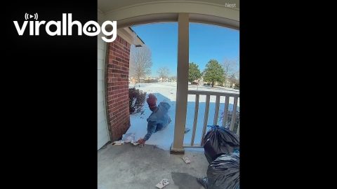 Mom Drops Everything When She Slips on Ice || ViralHog
