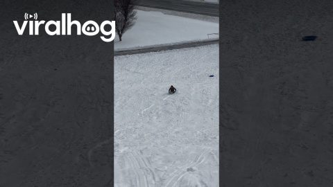 Freestyle Sledding Flip And Backward Ride To The Finish Line || ViralHog